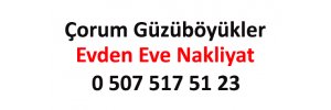 Çorum Güzüböyükler Evden Eve Nakliyat 